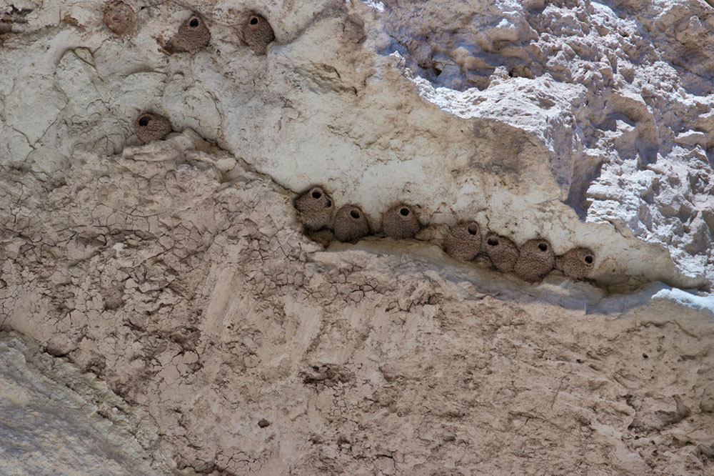 montezuma_-castle_2480x