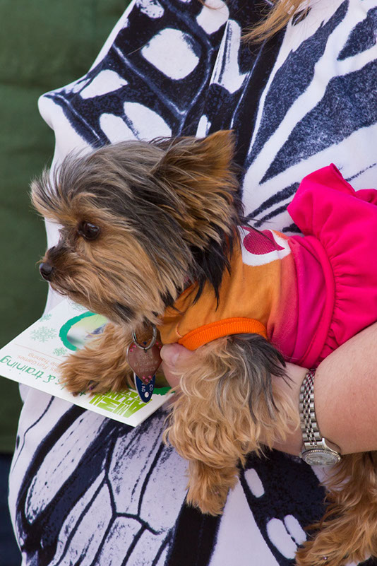 bark_park_060714_6474x