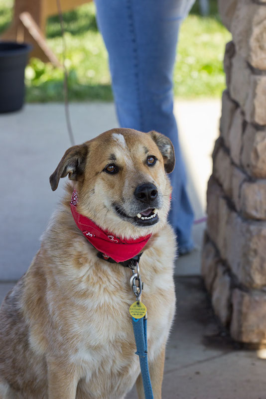 bark_park_060714_6519x